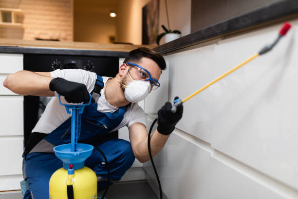 Best Residential Pest Control  in Croton On Hudson, NY