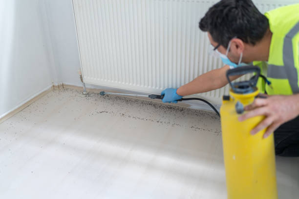 Best Commercial Pest Control Services  in Croton On Hudson, NY